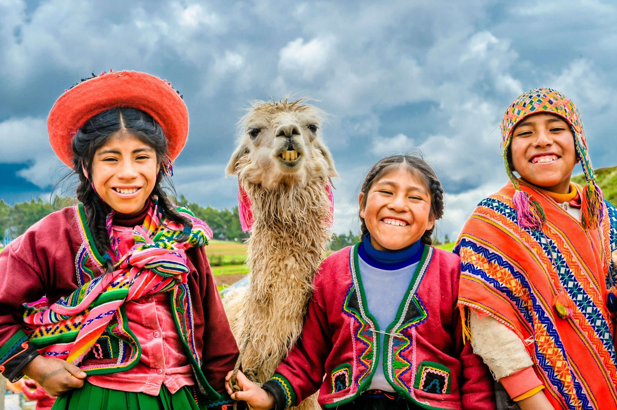 Llama - People - Peru
